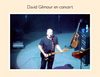 Gilmour en concert