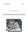 L'organisation sociale chez le loup