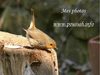 Ma galerie photo