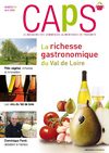 Extrait magazine CAPS n°97