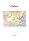 Werkstuk China van Douwe