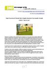 Dopo il successo di Second Life è Google a lanciare il suo mondo virtuale: Lively è “easy to use”.