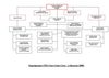 Organigramme_CPIE_CORTE_2008