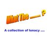 What the f... ? A collection of lunacy