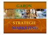 Marketing de la Destination Gabon - GabonTour - 2006