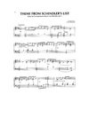 Theme From Schindler's List (John Williams)