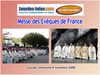 Lourdes Messe des Evêques de France