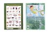Brochure sur les espèces protégées du Complexe d'Aires Protégées de Gamba