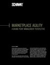 Marketing Agility: A Brand Point Management Perspective