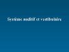 Système auditif et vestibulaire 