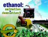 ethanol: salvation or damnation?