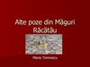 Alte poze din Maguri Racatau