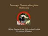 Gilles Testard-Dressage Chasse à l'Anglaise-Retrievers