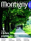 montigny_infos_été_2006