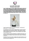 Exercices de coup au Saber