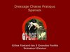 Gilles Testard-Dressage Chasse Pratique-Spaniels