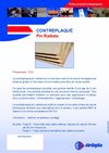 Contreplaqué Pin radiata
