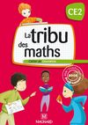 Extrait de " La Tribu des Maths - Cahier de géométrie CE2 "