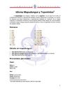 diccionario mapuche