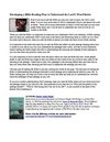 Bible Reading Plan