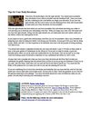 Bible Devotions