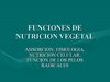 Funciones de Nutrición, absorción, fisiología, noción...