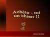 achete toi un chien planete