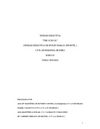 DIDACTIC UNIT EXAMPLE