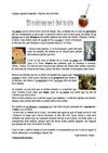 Activitats complementàries al text narratiu
