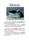 Whales