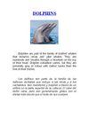 Dolphins basic information