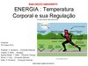 Temperatura Corporal e sua Regulação
