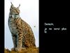 Message des animaux pour leur survie sur notre planète