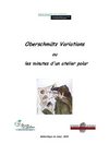 Oberschmütz variations ou les minutes d'un atelier polar