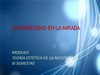 RECEPCIÓN DEL VIDEO