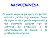 microempresa