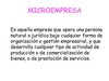 microempresa