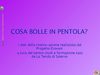 I dati della ricerca azione