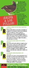 Salva a los Pollos