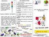 NETWORKVIAL DIFUNDE EL BOLETIN: Los colores y las señales de transito