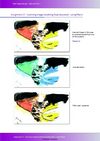 Web Design Manual 2 - Assignment 21