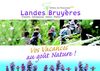 Tourisme Landes bruyères, Office de Tourisme Landes Bruyères