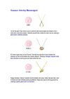 Summer Jewelry Horoscopes