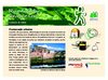 Suivez le coq - Gaillac - Tarn