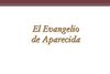 EL EVANGELIO DE APARECIDA