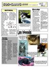 journal sos-chats 04 hiver