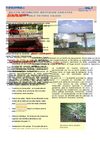 BOLETIN IE SAN PABLO VICTORIA CALDAS