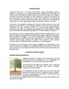 Algunas Respuestas... Estructuras 4