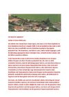 Haus Explosion - SelMcKenzie Selzer-McKenzie