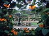 la ciudad